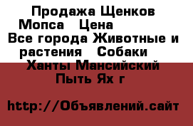Продажа Щенков Мопса › Цена ­ 18 000 - Все города Животные и растения » Собаки   . Ханты-Мансийский,Пыть-Ях г.